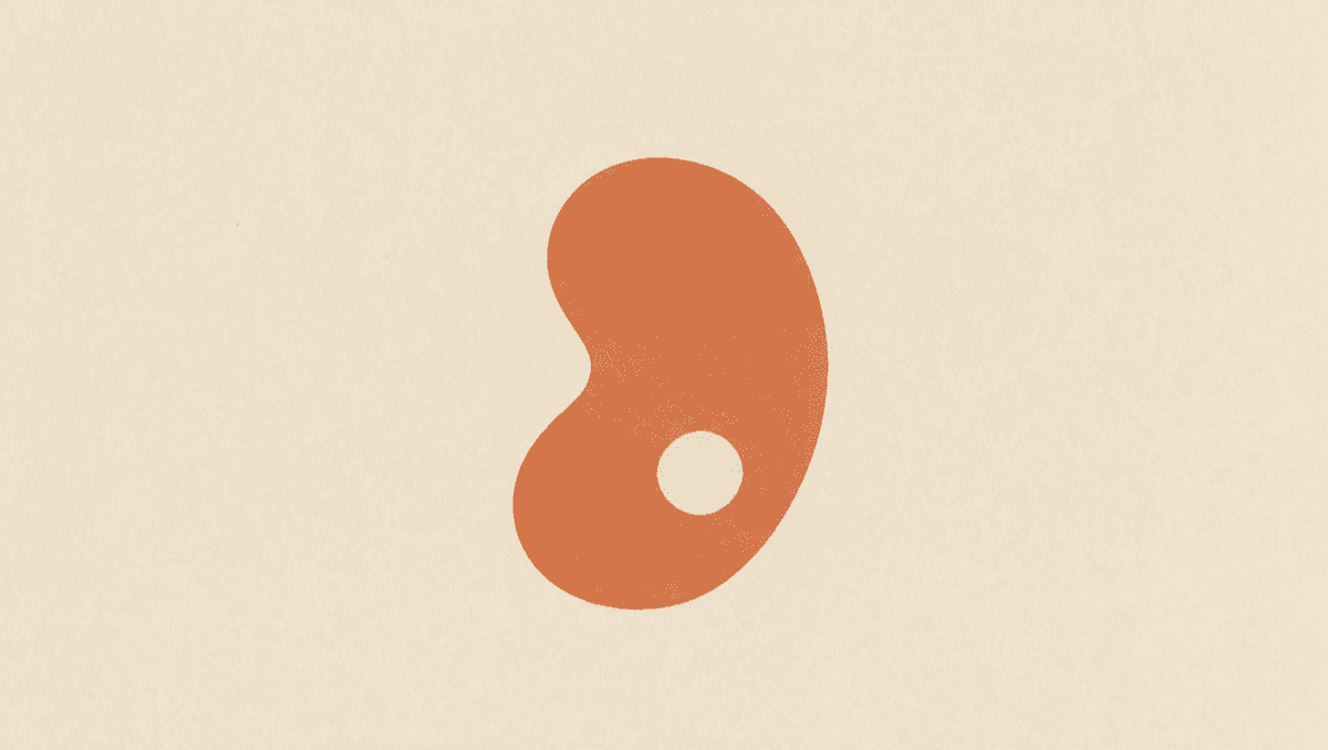 An Incidental Kidney Mass: Solid vs Cystic and What Bosniak Means