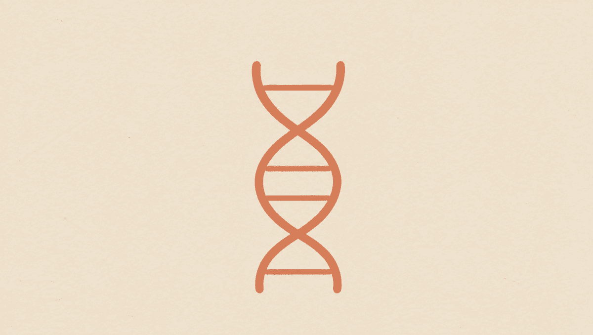 MTHFR Testing Is Oversold: What the Gene Variant Does and Does Not Mean